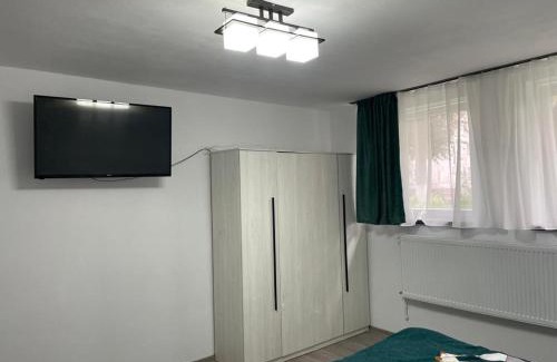 Zarnesti Apartment | Studio Ali with parking
