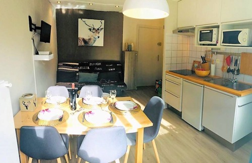 Les Deux Alpes Apartment | STUDIO AND ANNEX CENTER STATION