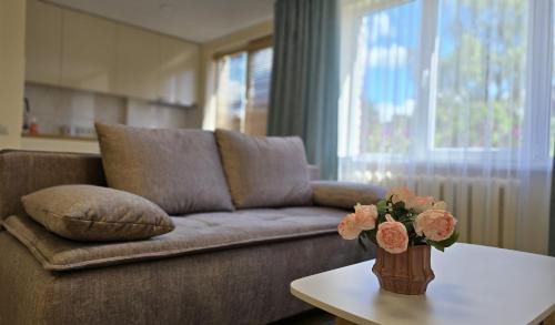 Panevezys Apartment | Studio Anna