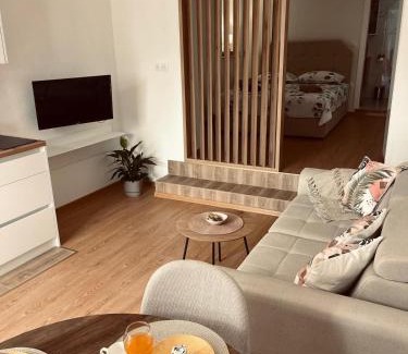 Canton 10 Apartment | Studio apartman Ana