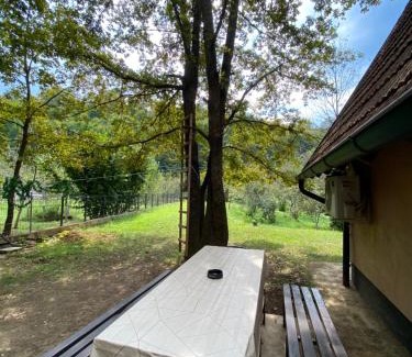 Bihac Apartment | Studio apartman Farah
