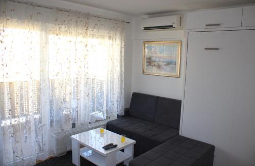 Alipasin Most Apartment | Studio Apartman Miljacka 13 Sarajevo