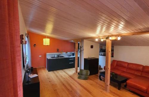 Bierini Apartment | Studio apartment and FREE airport transfer