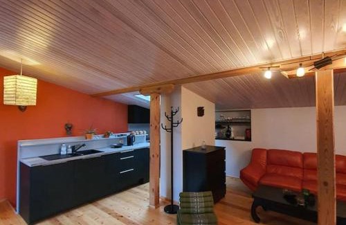 Bierini Apartment | Studio apartment and FREE airport transfer