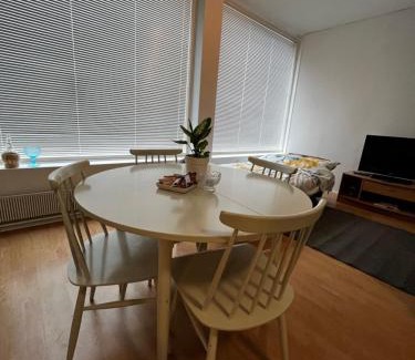 Parkano Apartment | Studio apartment