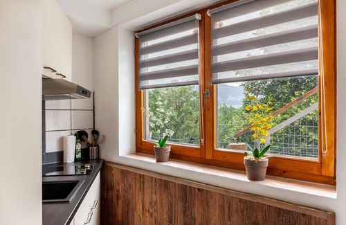 Westendorf Apartment | Studio Apartment "Haus Auner Top 5b" with Mountain View, Private Terrace & Wi-Fi