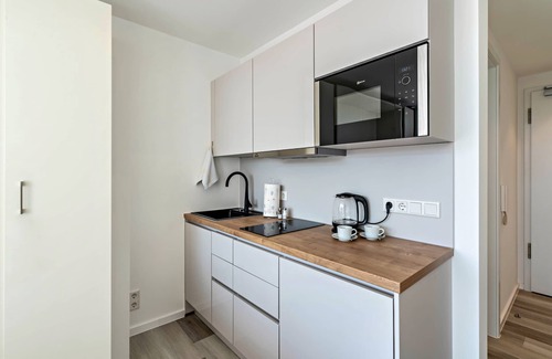 Furstenfeldbruck District Apartment | Studio Apartment "Huber Living Basic 203" with Balcony & Wi-Fi