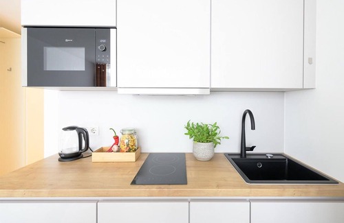 Furstenfeldbruck District Apartment | Studio Apartment 'Huber Living Basic 102' with Balcony and Wi-Fi
