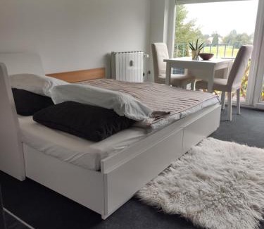 Ptuj Apartment | Studio apartment "Iris"