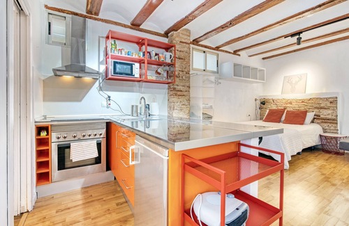 La Seu Apartment | Studio Apartment 'Mendoza' with Balcony, Wi-Fi and Air Conditioning