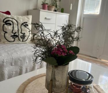 Montovjerna Apartment | Studio Apartment Michelle