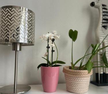 Montovjerna Apartment | Studio Apartment Michelle