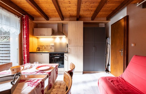 Thones Apartment | Studio Apartment 'Sabot De Vénus' with Mountain View, Private Terrace and Wi-Fi