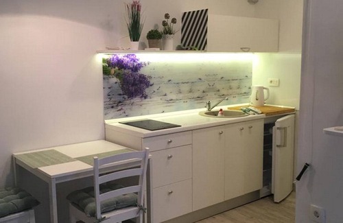 Volosko Apartment | Studio Apartment Sisi