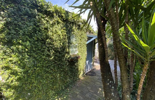 Faubourg Delachaise Apartment | Studio Apartment Upper Garden District 2 blocks from Magazine Street.