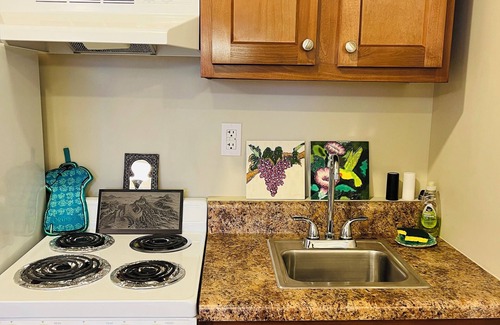 Roanoke Apartment | Studio Apartment with King Bed, Stunning View & Sauna