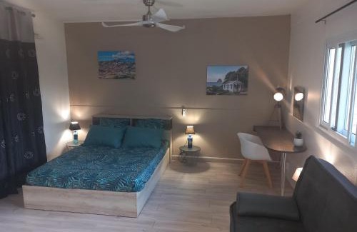 Sainte-Marie Apartment | Studio avec jardin Morne des Esses