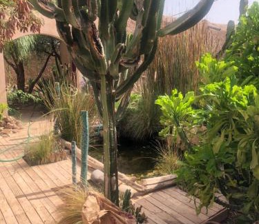 Zaouia Sidi Tahar Apartment | Studio avec jardin privatif campagne de Taoudannt