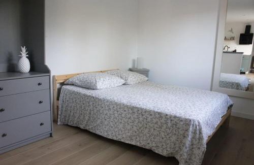 Castelginest Apartment | Studio avec terrasse et parking