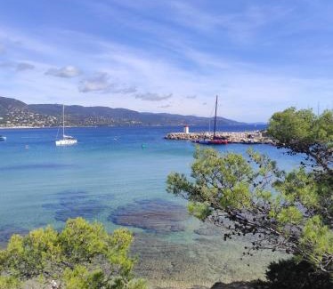 Le Lavandou Apartment | Studio avec terrasse proche plages