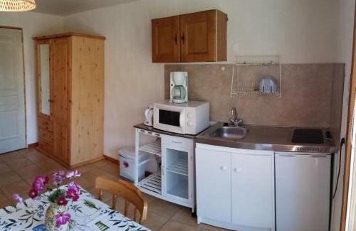 Enchastrayes Apartment | Studio Barcelonnette Ubaye, Provence