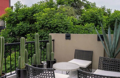 Roma Norte Apartment | Studio Bilbao: with private balcony and Rooftop Access