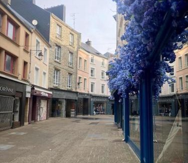 Cherbourg-en-Cotentin Apartment | Studio Bois flotté Cherbourg Netflix Parking