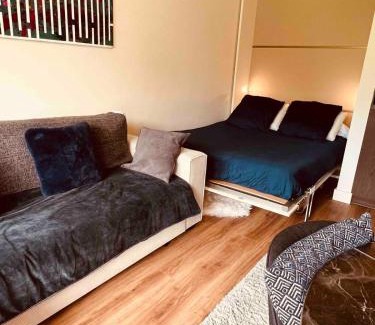 Aix-les-Bains Apartment | Studio bord du lac terrasse