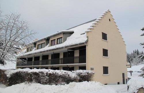 Correncon-en-Vercors Apartment | Studio Cabine avec Jardinet à Corrençon, Navette Gratuite, Proche Village et Pistes de Ski - FR-1-515-52