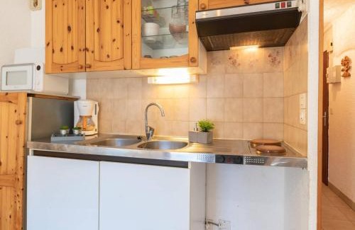 Saint-Lary-Soulan Apartment | Studio calme 4 pers avec parking, proche centre Saint Lary Soulan - FR-1-296-205