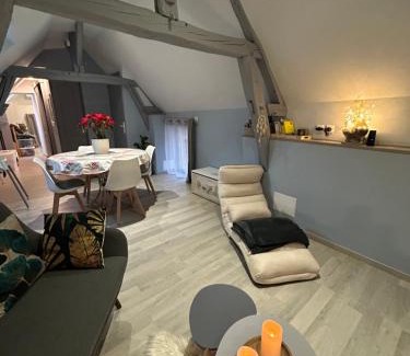 Romorantin-Lanthenay Apartment | Studio centre ville