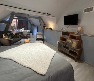 Romorantin-Lanthenay Apartment | Studio centre ville
