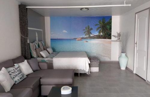 Le Robert Apartment | Studio charmant avec vue sur la mer - 45 m² - Le Robert