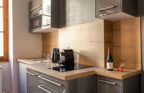 Carnot - Gailleton Apartment | Studio charmant idéalement situé, Ainay-Carnot