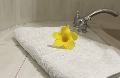 Constant Spring Hotel | Studio Chateau - Manor Park, Kingston 8