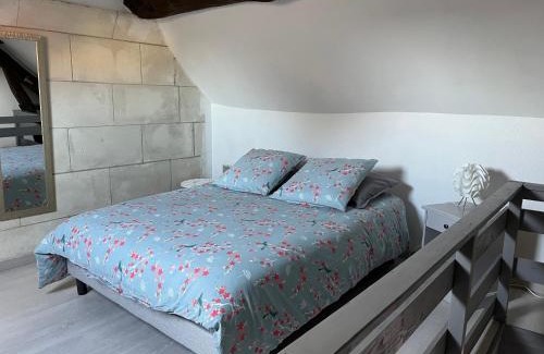 Mareuil-sur-Cher House | Studio chez l’habitant