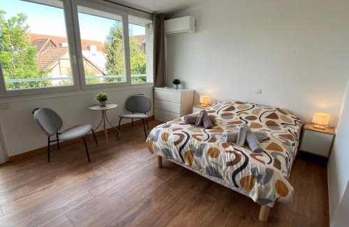 Horbourg-Wihr Apartment | Studio climatisé 30 m2 à 2 min de Colmar