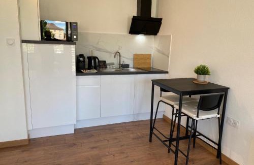 Horbourg-Wihr Apartment | Studio climatisé 30 m2 à 2 min de Colmar