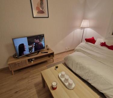 Fleury-les-Aubrais Apartment | Studio confort