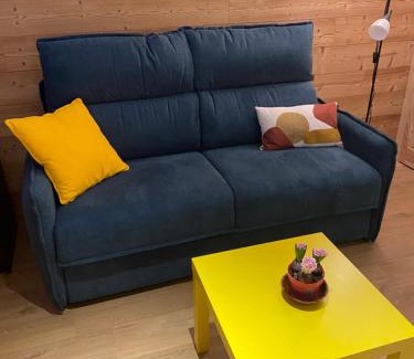Saint-Lary-Soulan Apartment | Studio Confortable style Chalet, Saint Lary Soulan centre village, 6 nuits minimum