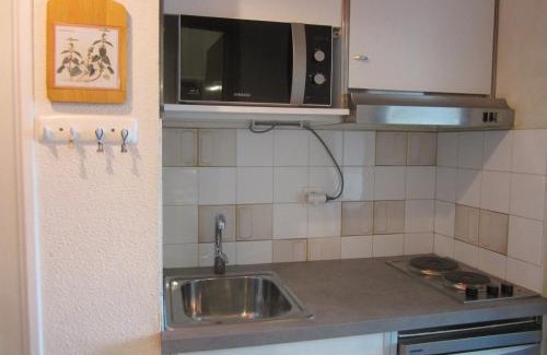 Villard-de-Lans Apartment | Studio coquet 21m², 4 pers, pied des pistes, Côte 2000, balcon, prox. commerces, parking gratuit - FR-1-689-42
