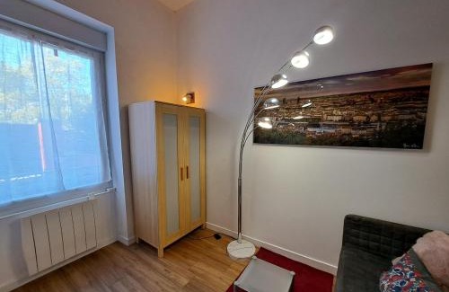Fontaines-sur-Saone Apartment | Studio cosy entièrement rénové à deux pas de Lyon