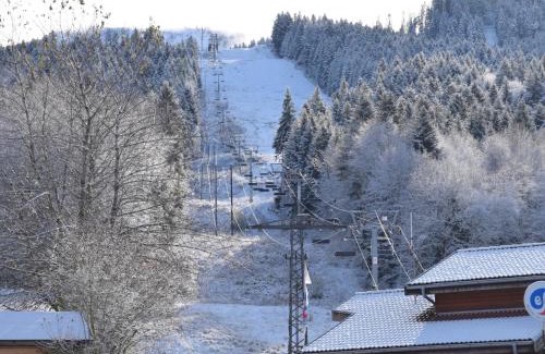 Bernex Apartment | Studio cosy entre pistes et sentiers – Parking inclus - FR-1-498-71