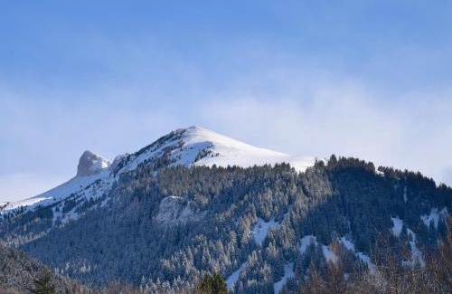 Bernex Apartment | Studio cosy entre pistes et sentiers – Parking inclus - FR-1-498-71