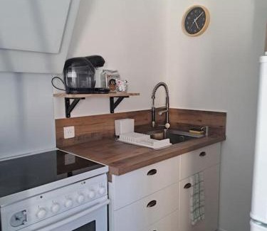 Serezin-du-Rhone Apartment | Studio dans maison avec jardin et balcon, au calme