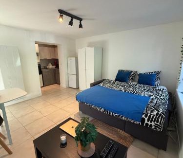 Belfort Apartment | Studio du Lion - Proche vieille ville