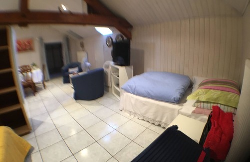 Eguisheim Apartment | Studio equipped 45m² in house Eguisheim near Colmar, with large garden
