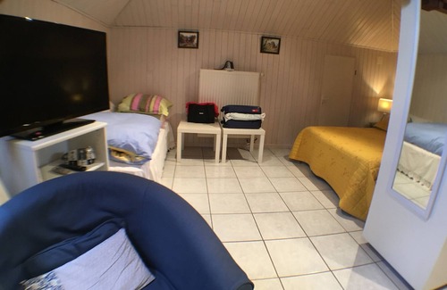 Eguisheim Apartment | Studio equipped 45m² in house Eguisheim near Colmar, with large garden