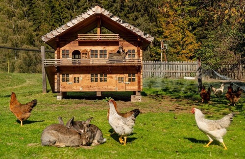 Forstau House | Studio Fageralm, 1 bedroom - Familienhotel Unterreith