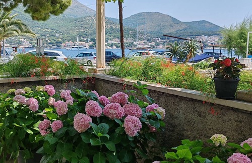 Zaton Apartment | Studio flat with terrace Zaton Veliki, Dubrovnik (AS-2107-a)